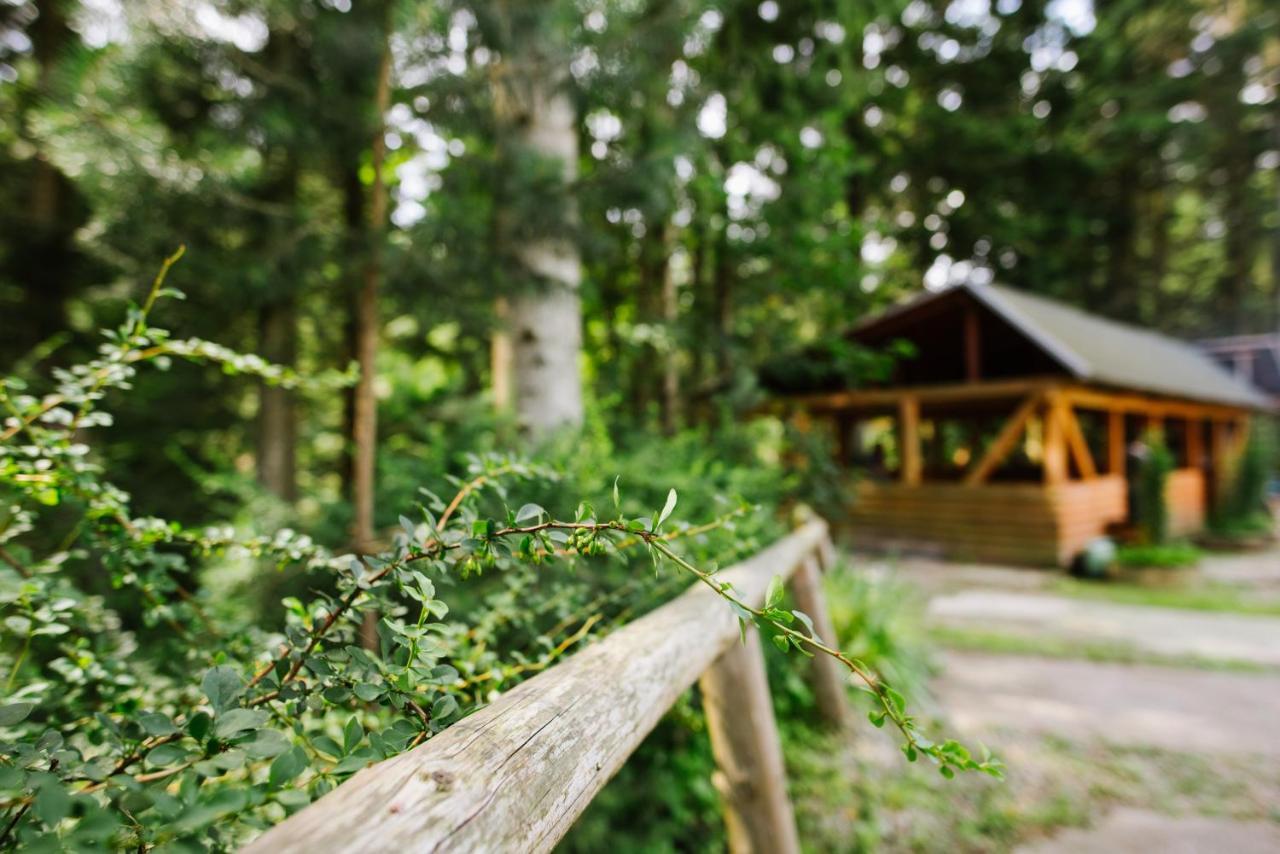 Zelenyy Bir Hotel Skhidnytsia Exterior foto